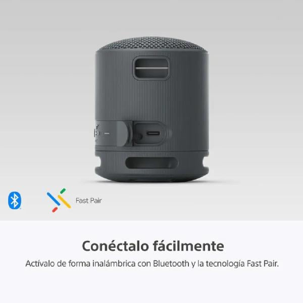 Sony SRS-XB100 Parlante Bluetooth Portátil 5W Resistente al Agua Negro